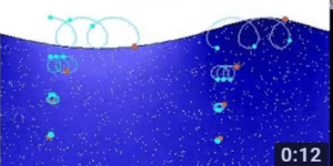 wave motion in the ocean